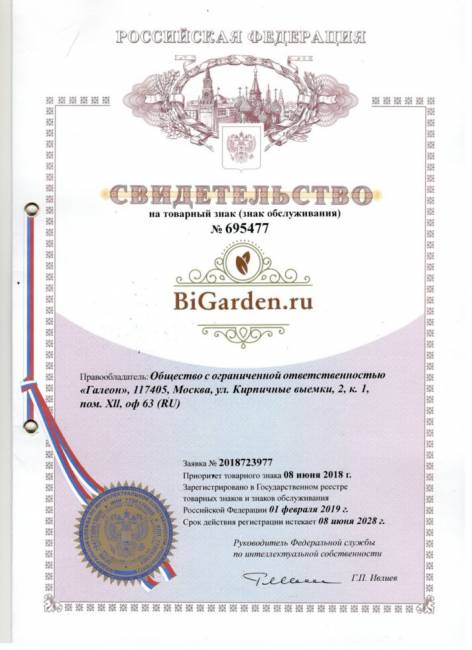 Подвесное кресло "Kokos Black BS" Зеленая подушка Подвесное кресло "Kokos Black BS" Зеленая подушка